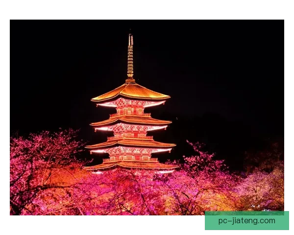 樱落成诗，光影成画：樱花视频，定格你的春日限定浪漫